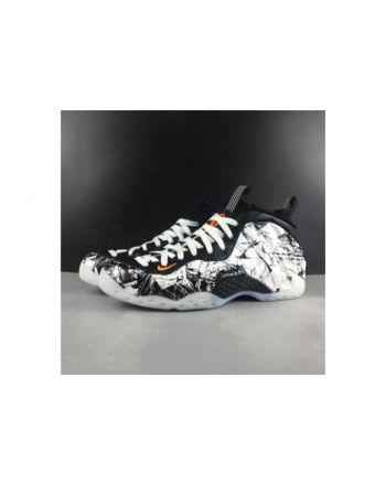 Nike Air Foamposite One Black White 314996-013