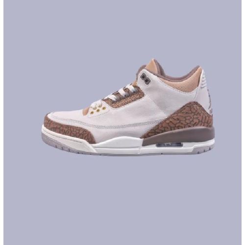 Jordan 3 Retro Palomino CT8532 102 (5)